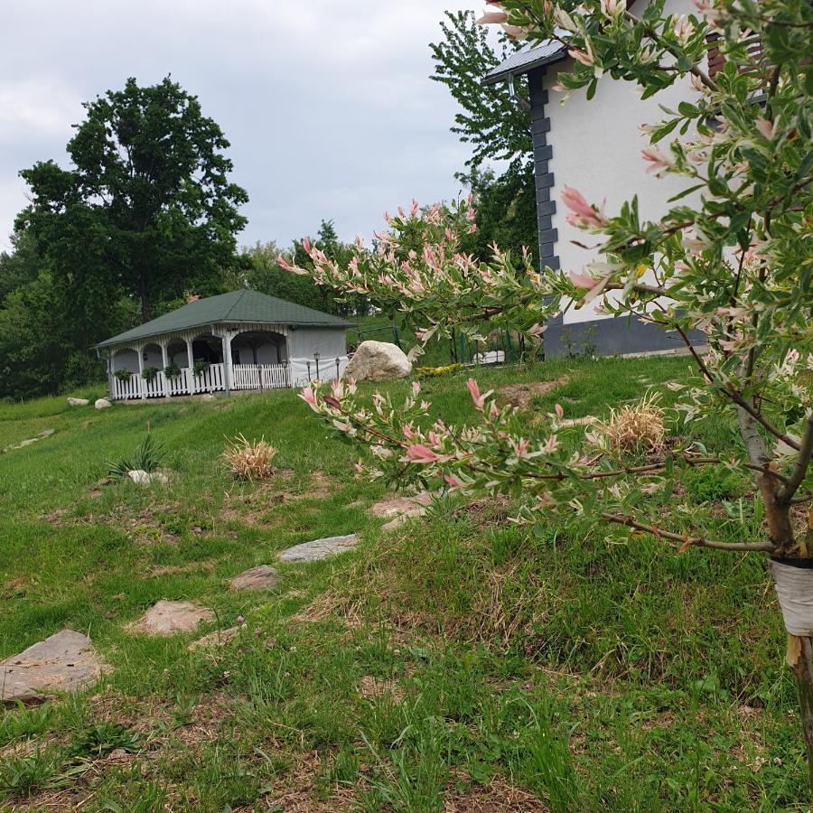Casuta Din Gradina Villa Horezu Exterior photo